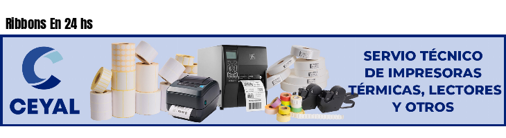 Ribbons En 24 hs