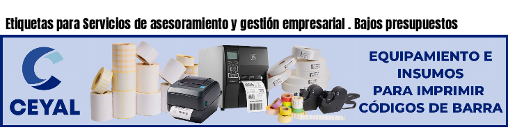 Etiquetas para Servicios de asesoramiento y gestión empresarial . Bajos presupuestos