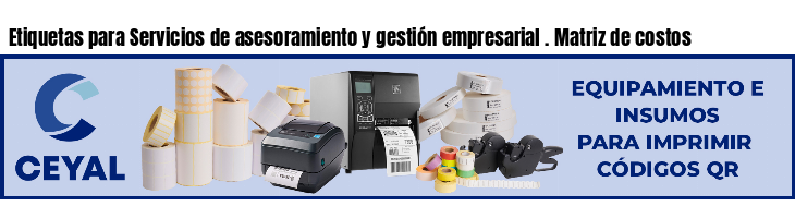 Etiquetas para Servicios de asesoramiento y gestión empresarial . Matriz de costos