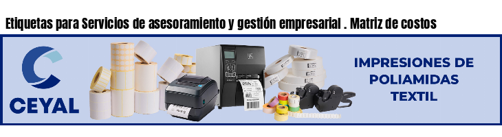 Etiquetas para Servicios de asesoramiento y gestión empresarial . Matriz de costos