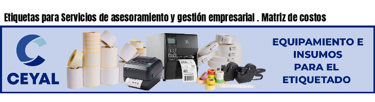 Etiquetas para Servicios de asesoramiento y gestión empresarial . Matriz de costos
