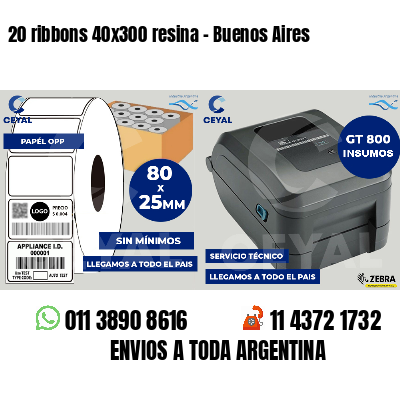20 ribbons 40x300 resina - Buenos Aires