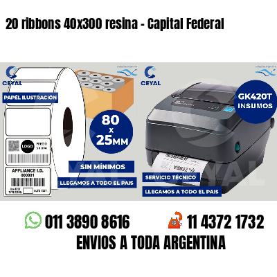 20 ribbons 40x300 resina - Capital Federal