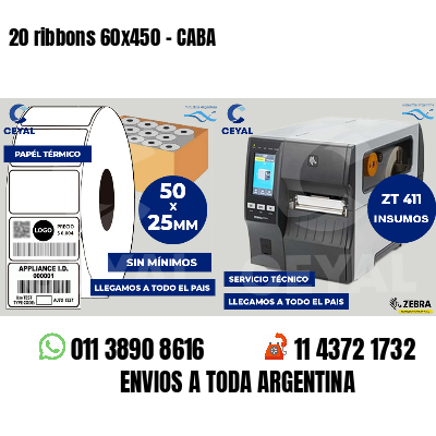 20 ribbons 60x450 - CABA