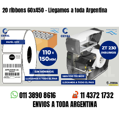 20 ribbons 60x450 - Llegamos a toda Argentina