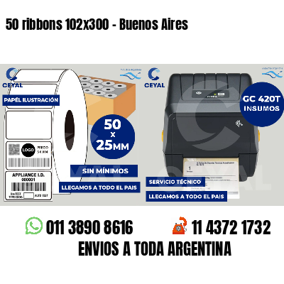 50 ribbons 102x300 - Buenos Aires