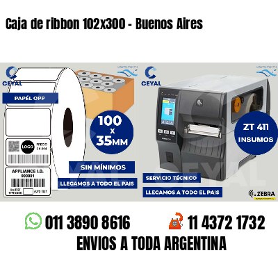Caja de ribbon 102x300 - Buenos Aires