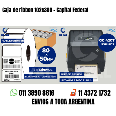 Caja de ribbon 102x300 - Capital Federal
