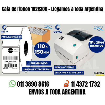 Caja de ribbon 102x300 - Llegamos a toda Argentina