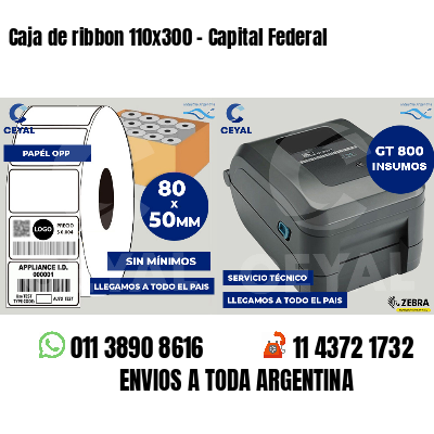 Caja de ribbon 110x300 - Capital Federal