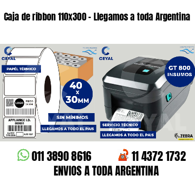Caja de ribbon 110x300 - Llegamos a toda Argentina