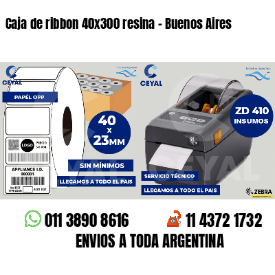 Caja de ribbon 40x300 resina - Buenos Aires