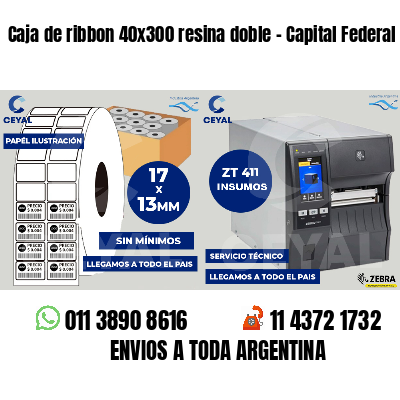 Caja de ribbon 40x300 resina doble - Capital Federal