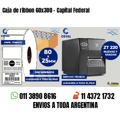 Caja de ribbon 60x300 - Capital Federal