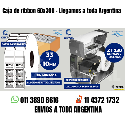 Caja de ribbon 60x300 - Llegamos a toda Argentina
