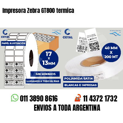 Impresora Zebra GT800 termica