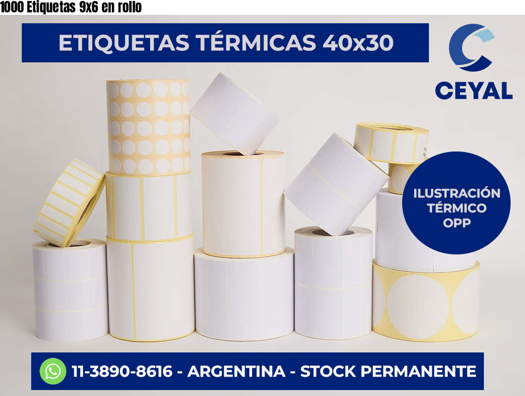 1000 Etiquetas 9×6 en rollo