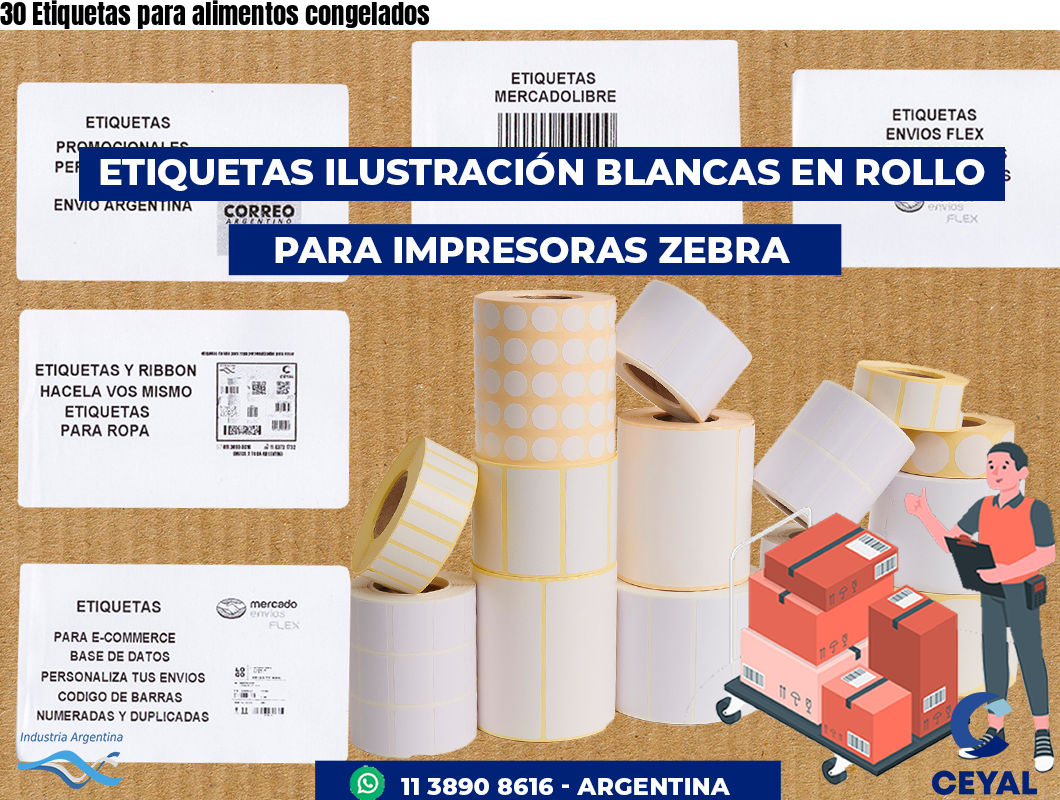 30 Etiquetas para alimentos congelados