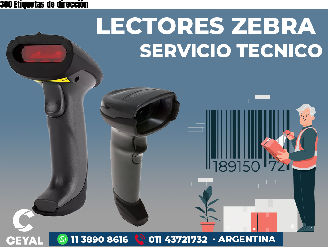 300 Etiquetas de dirección