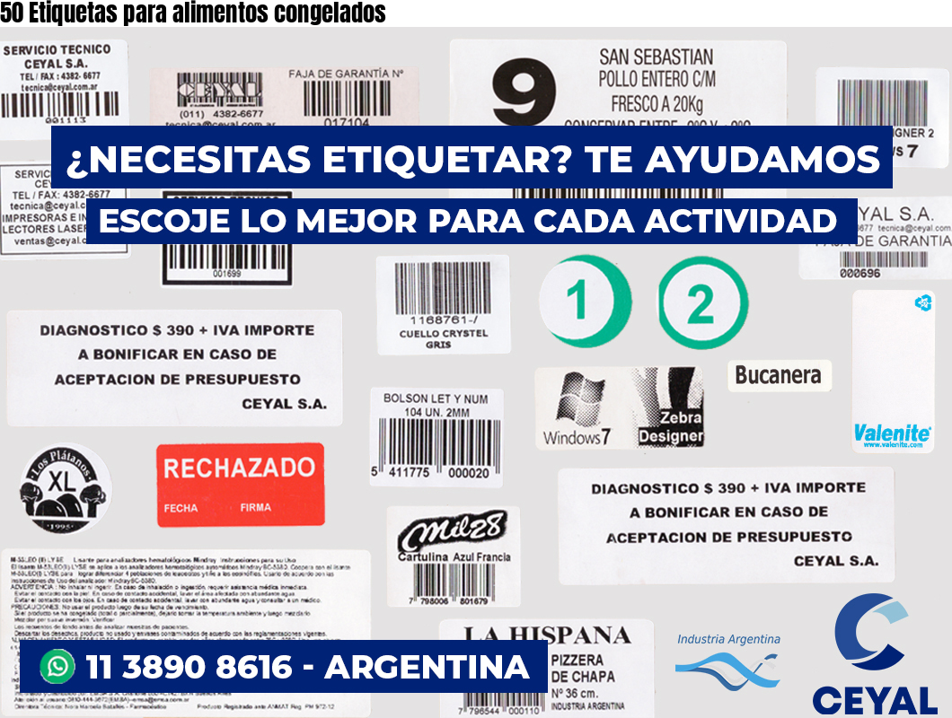50 Etiquetas para alimentos congelados