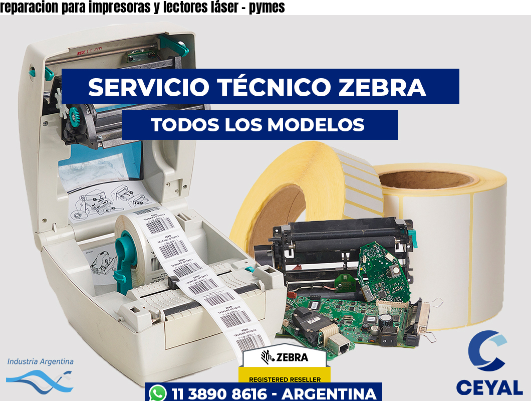 reparacion para impresoras y lectores láser – pymes