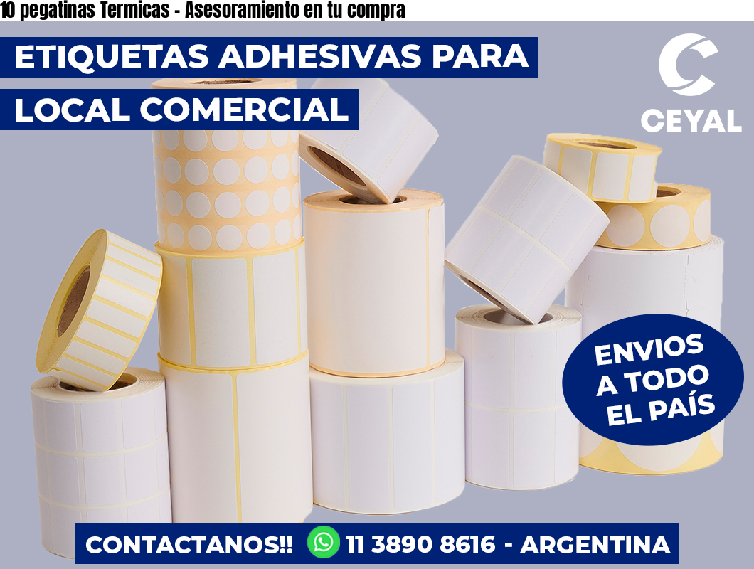 10 pegatinas Termicas - Asesoramiento en tu compra