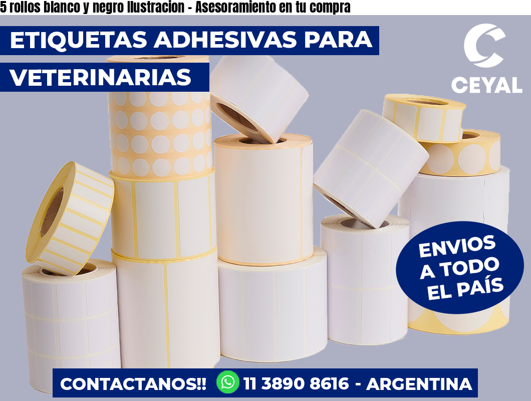 5 rollos blanco y negro Ilustracion – Asesoramiento en tu compra