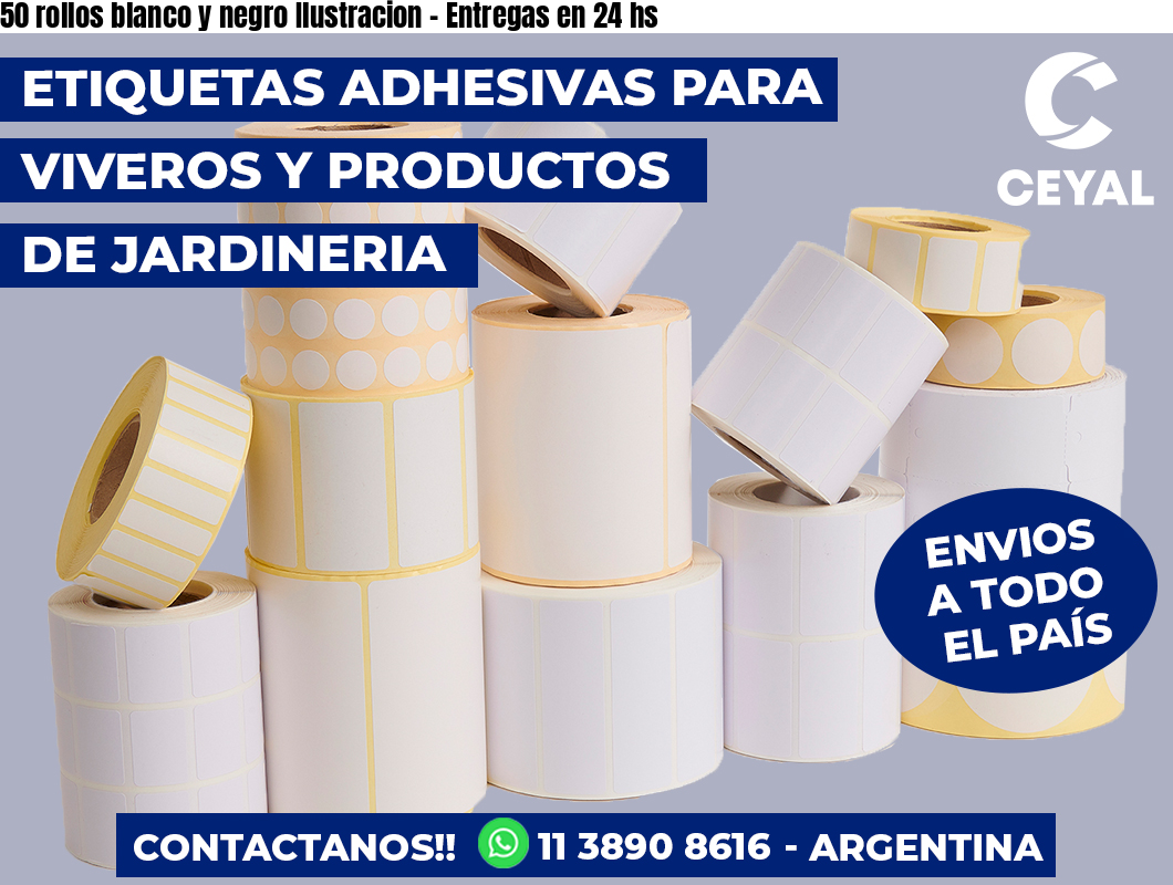 50 rollos blanco y negro Ilustracion - Entregas en 24 hs