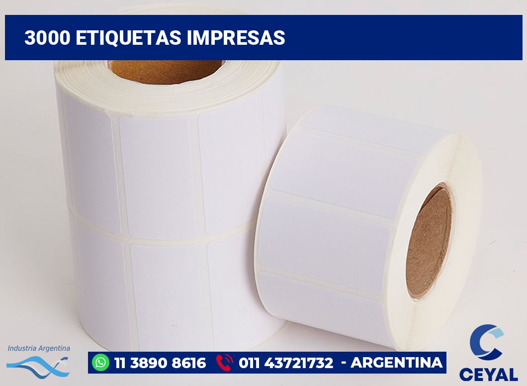 3000 Etiquetas impresas