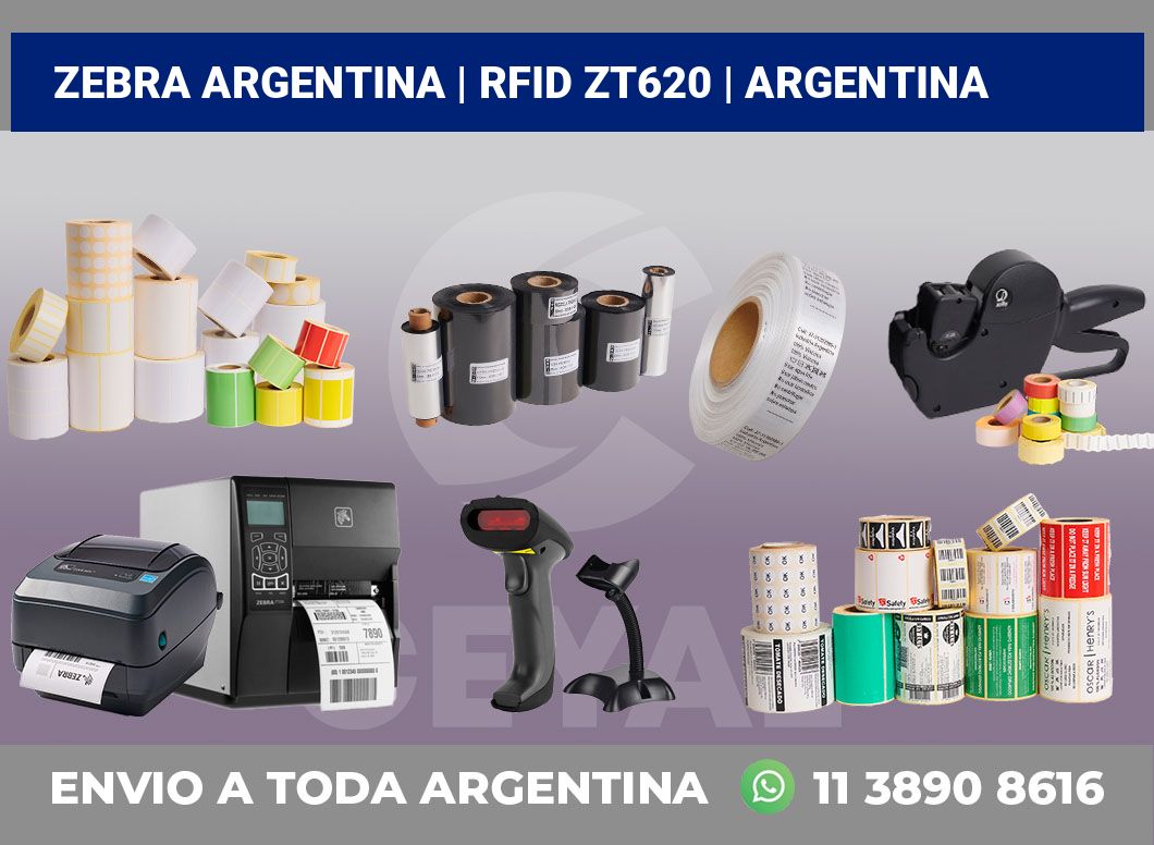 Zebra argentina | RFID ZT620 | Argentina