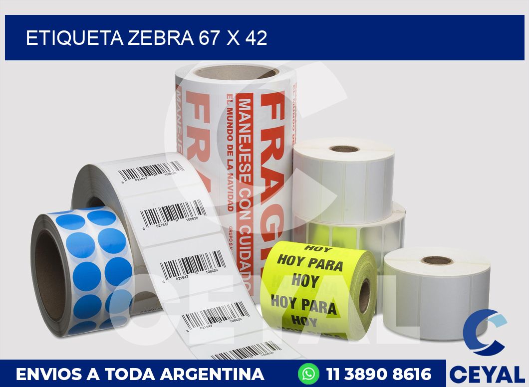 etiqueta zebra 67 x 42