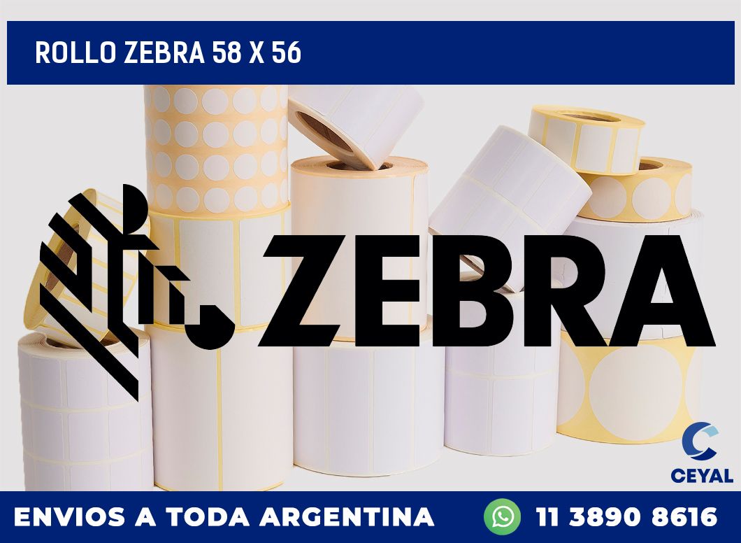 rollo zebra 58 x 56