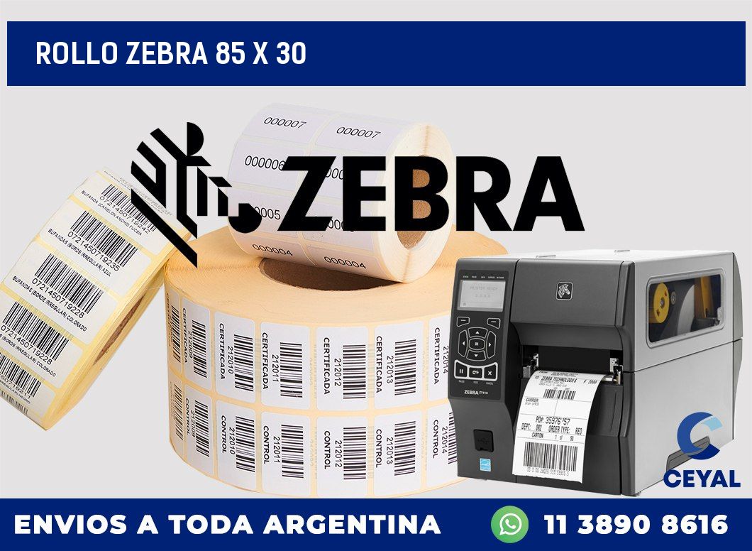 rollo zebra 85 x 30