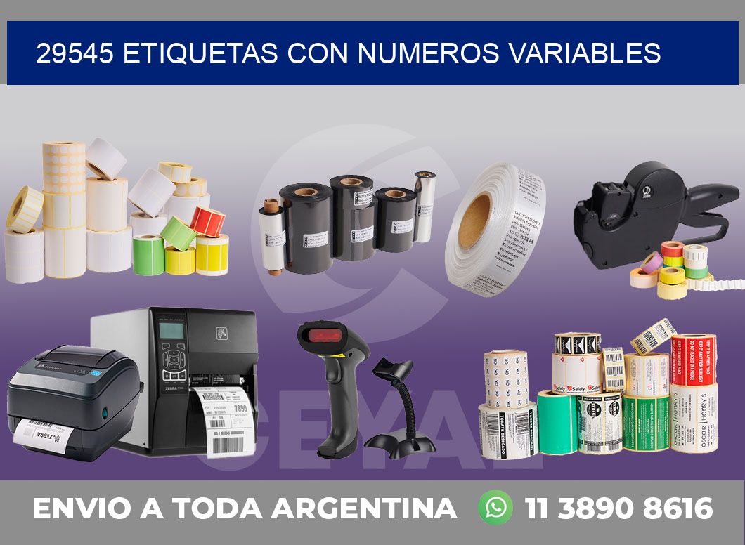 29545 ETIQUETAS CON NUMEROS VARIABLES