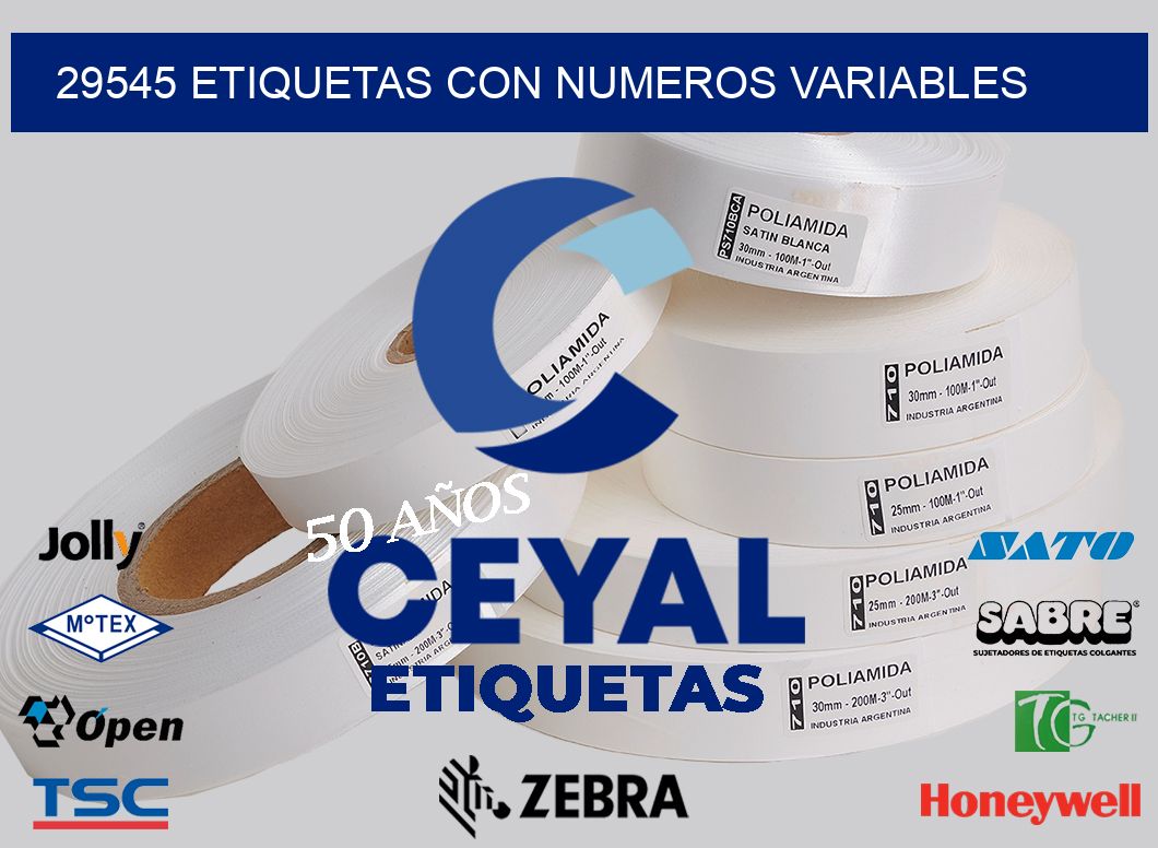 29545 ETIQUETAS CON NUMEROS VARIABLES