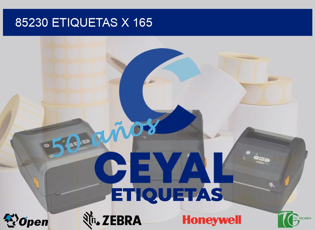 85230 Etiquetas x 165