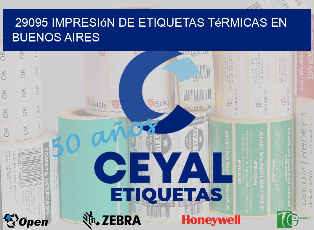 29095 Impresión de Etiquetas Térmicas en Buenos Aires