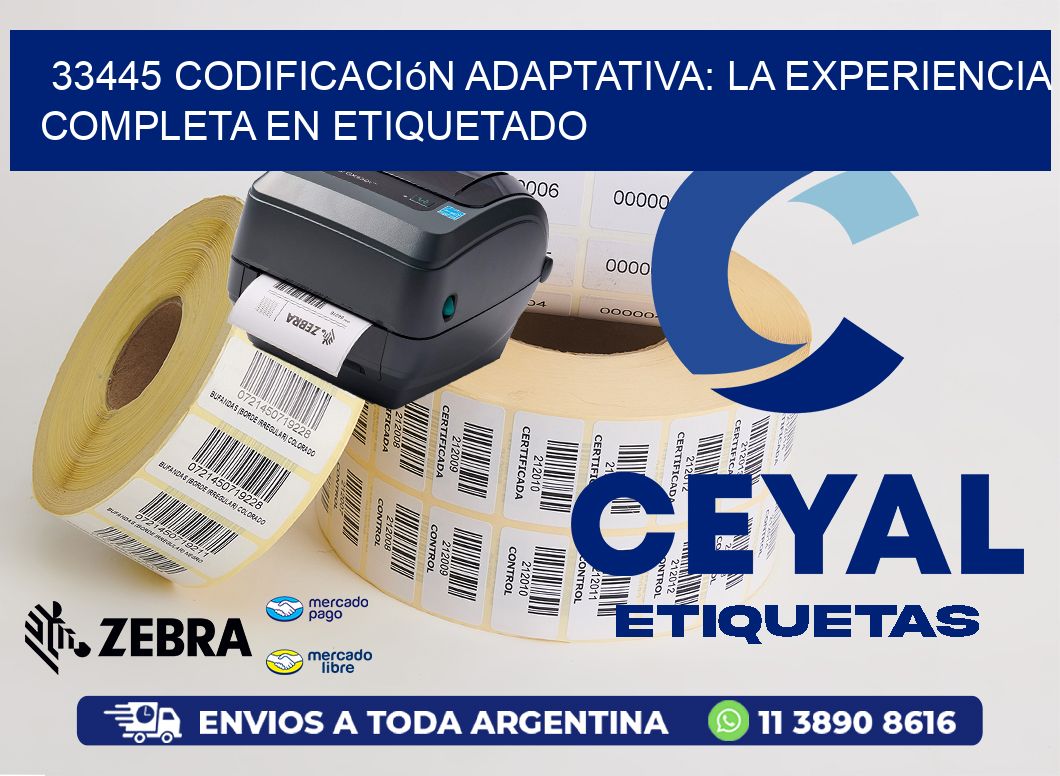 33445 Codificación Adaptativa: La Experiencia Completa en Etiquetado
