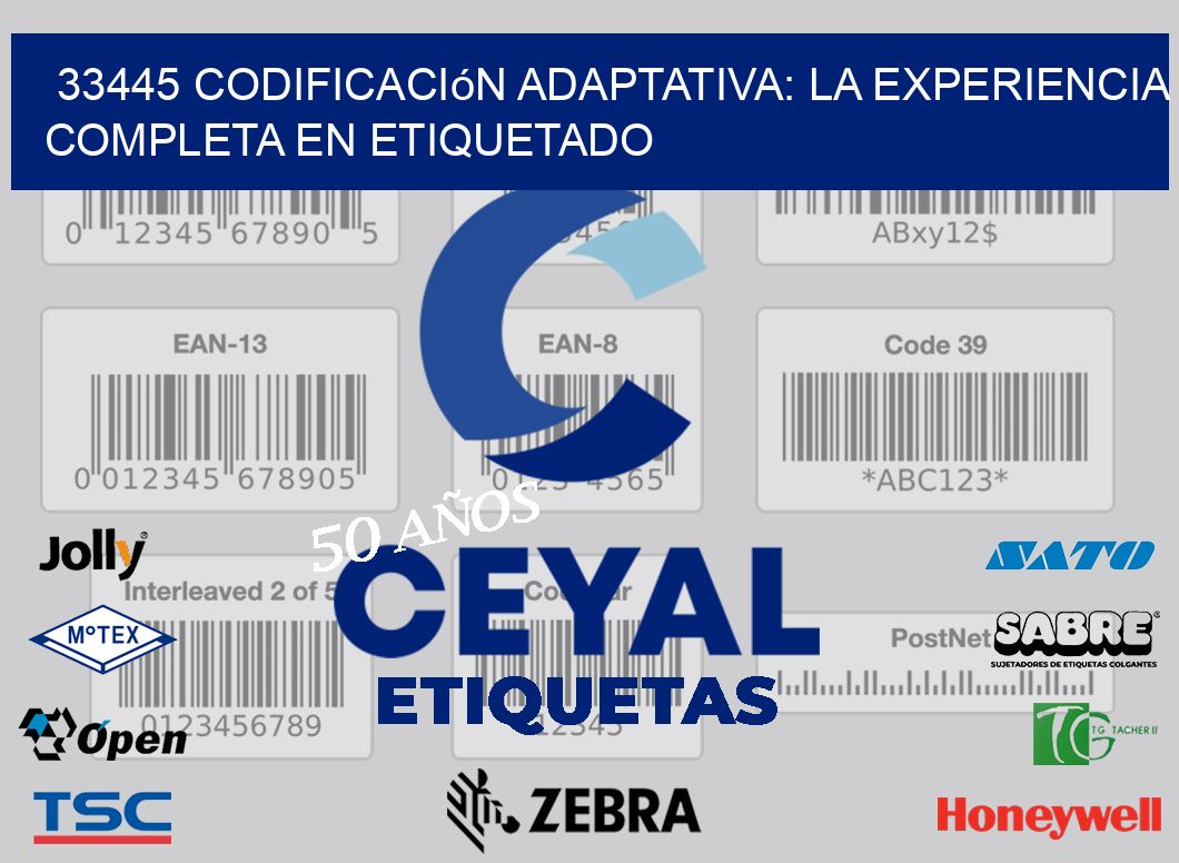 33445 Codificación Adaptativa: La Experiencia Completa en Etiquetado