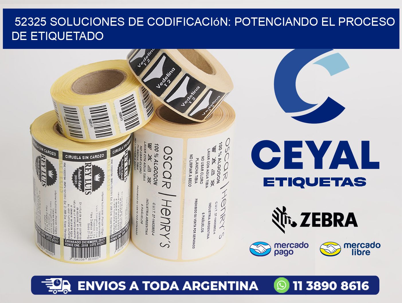 52325 Soluciones de Codificación: Potenciando el Proceso de Etiquetado