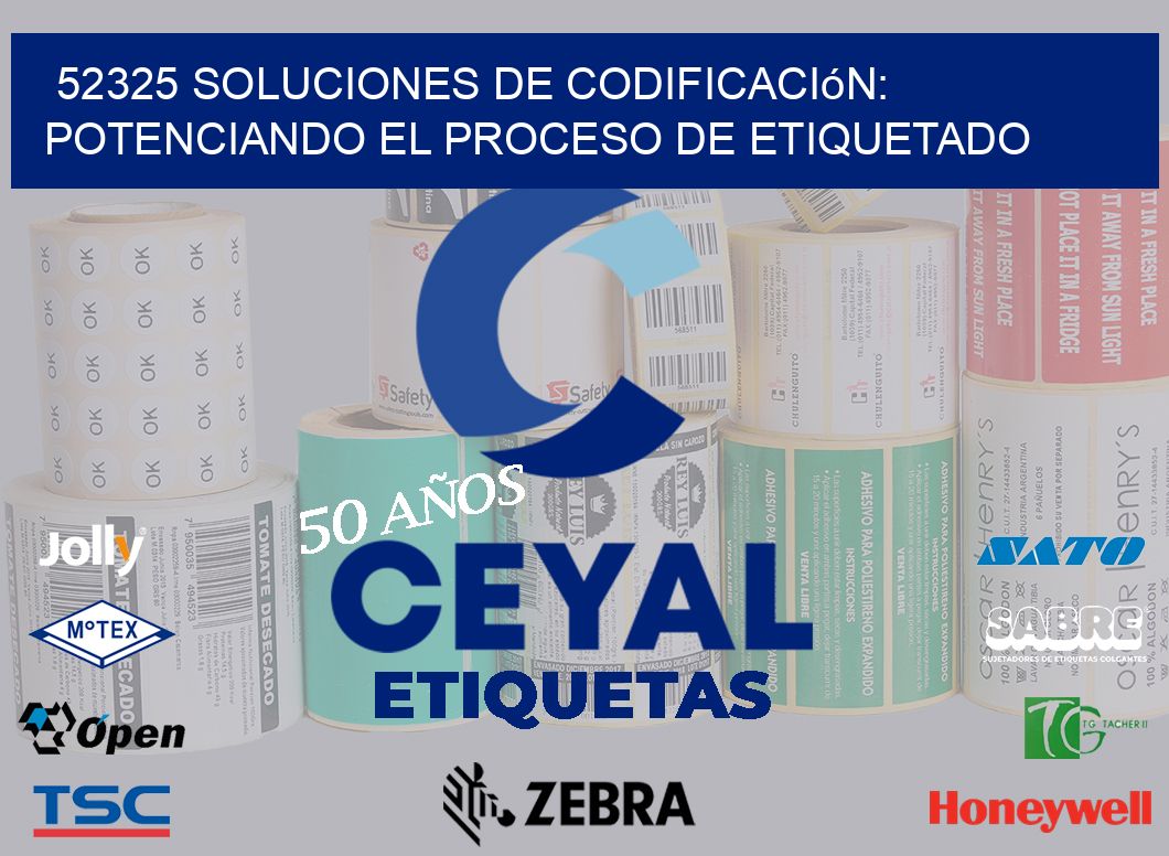 52325 Soluciones de Codificación: Potenciando el Proceso de Etiquetado