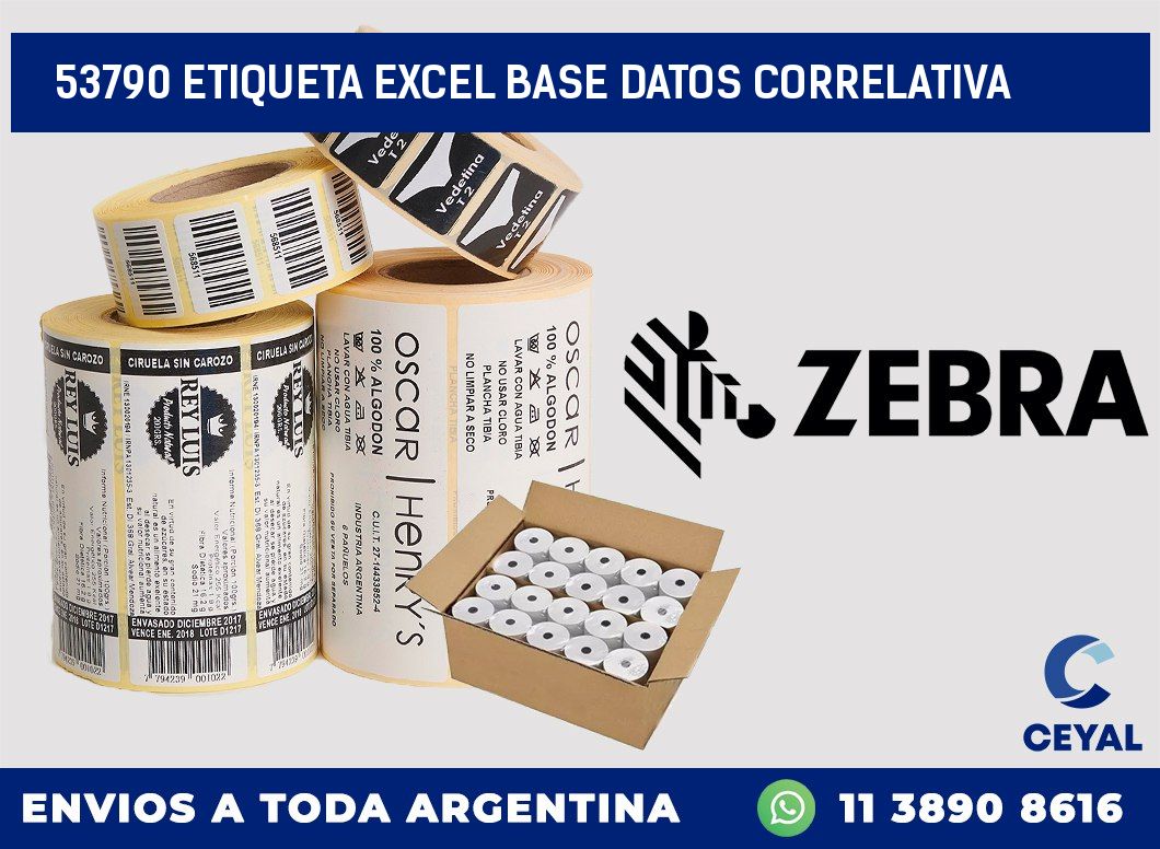53790 etiqueta excel base datos correlativa