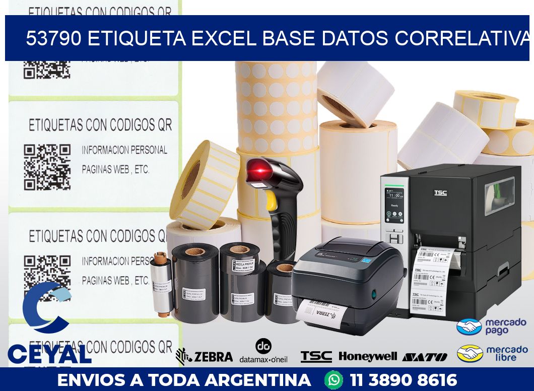 53790 etiqueta excel base datos correlativa