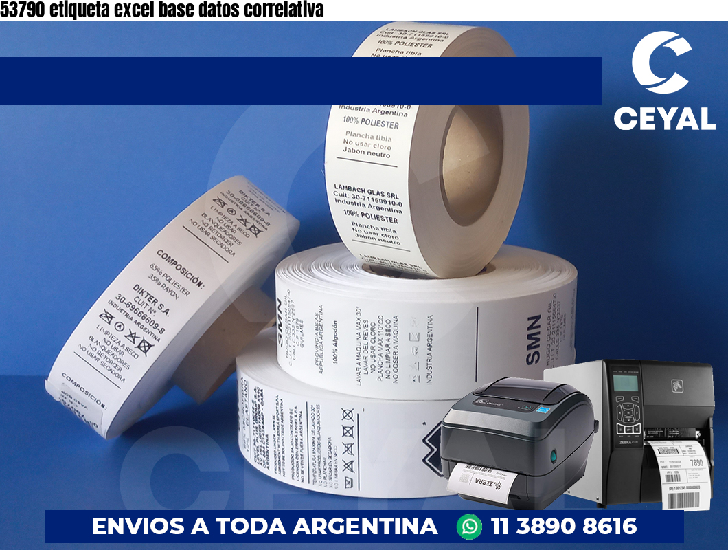 53790 etiqueta excel base datos correlativa