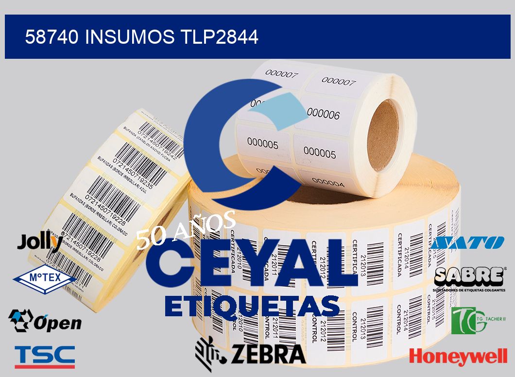 58740 INSUMOS TLP2844