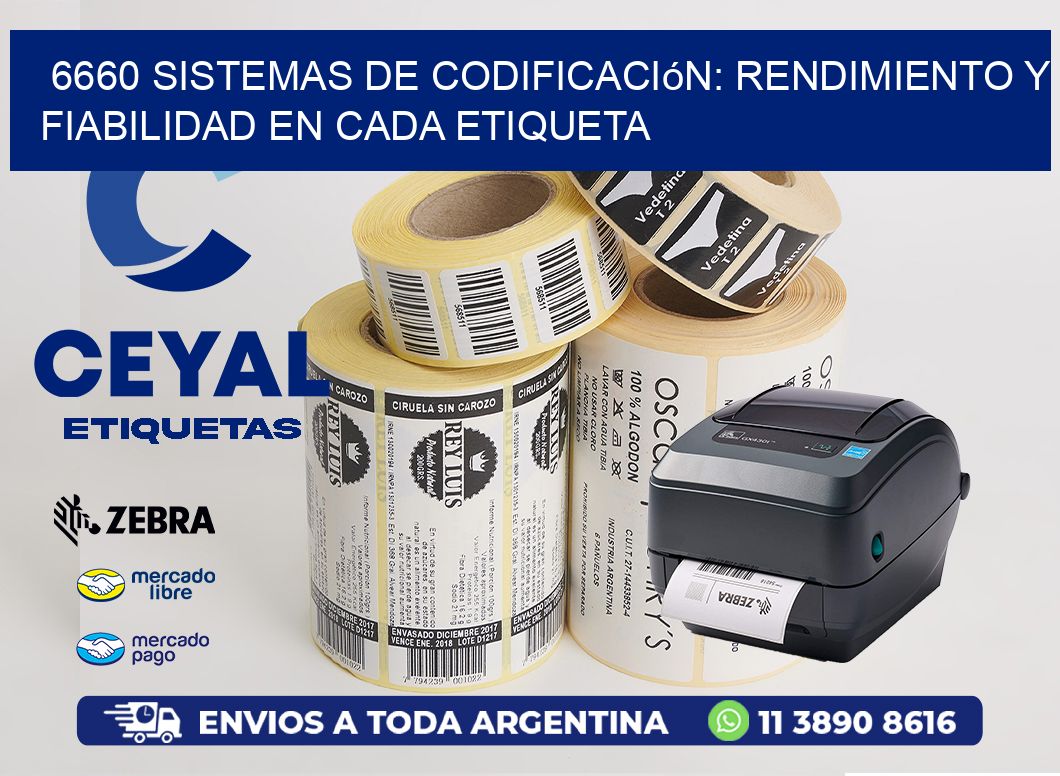 6660 Sistemas de Codificación: Rendimiento y Fiabilidad en Cada Etiqueta