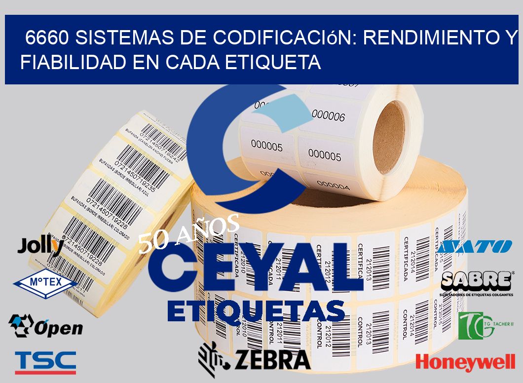 6660 Sistemas de Codificación: Rendimiento y Fiabilidad en Cada Etiqueta