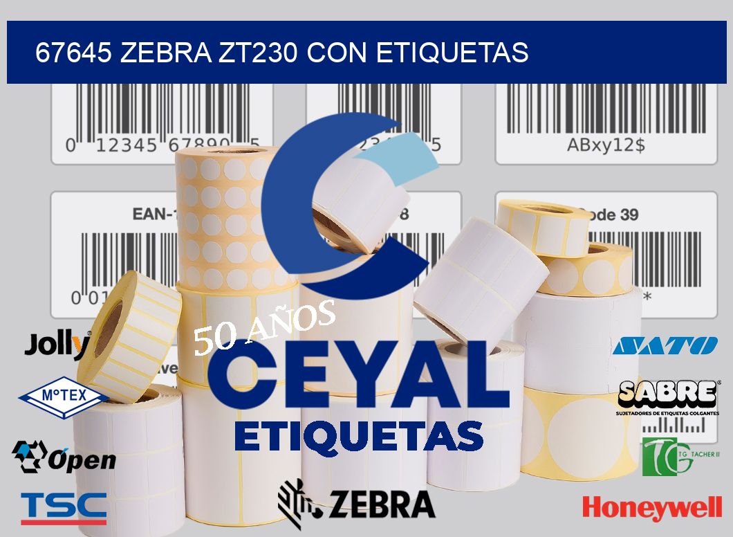 67645 Zebra ZT230 con Etiquetas