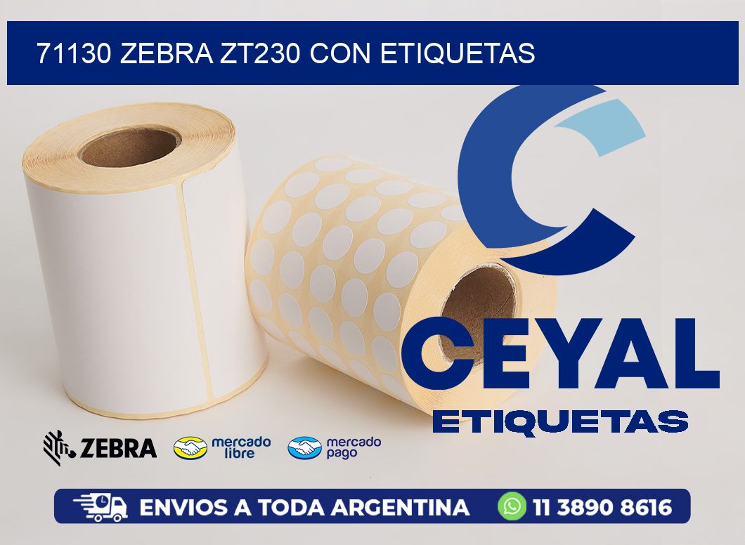 71130 Zebra ZT230 con Etiquetas