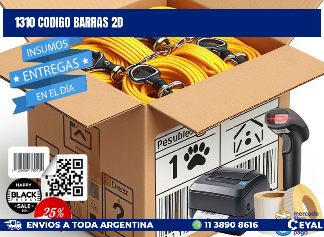 1310 CODIGO BARRAS 2D